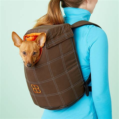 chewy dog carrying bag.